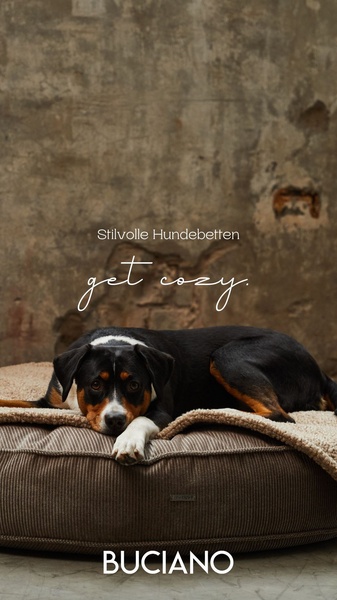 dog bed, pet bed, dog cushion, pet cushion, dog mattress, pet furniture, dog bedding, brand awareness, lifestyle, calm, warm, brown, neutral